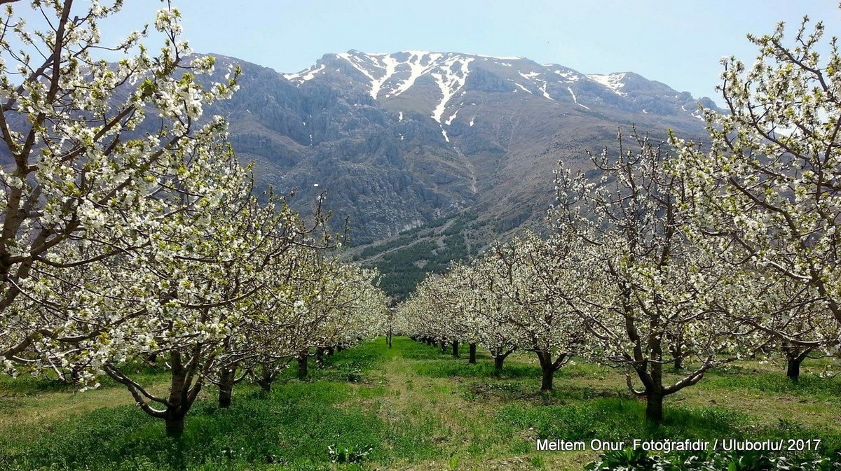 Isparta Kiraz Festivali&Uluborlu Turu